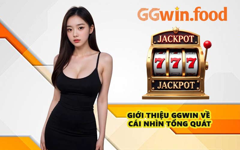 Giới thiệu GGWIN về cái nhìn tổng quát