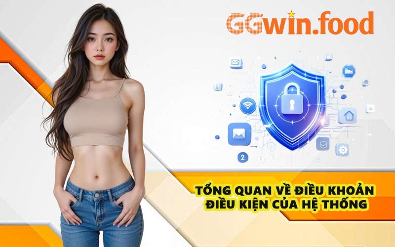 Tổng quan về điều khoản điều kiện của hệ thống